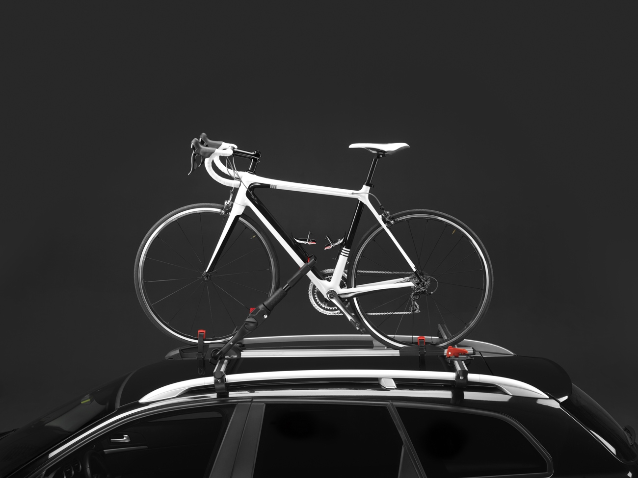 Elite Fietsdrager Ronda Sport