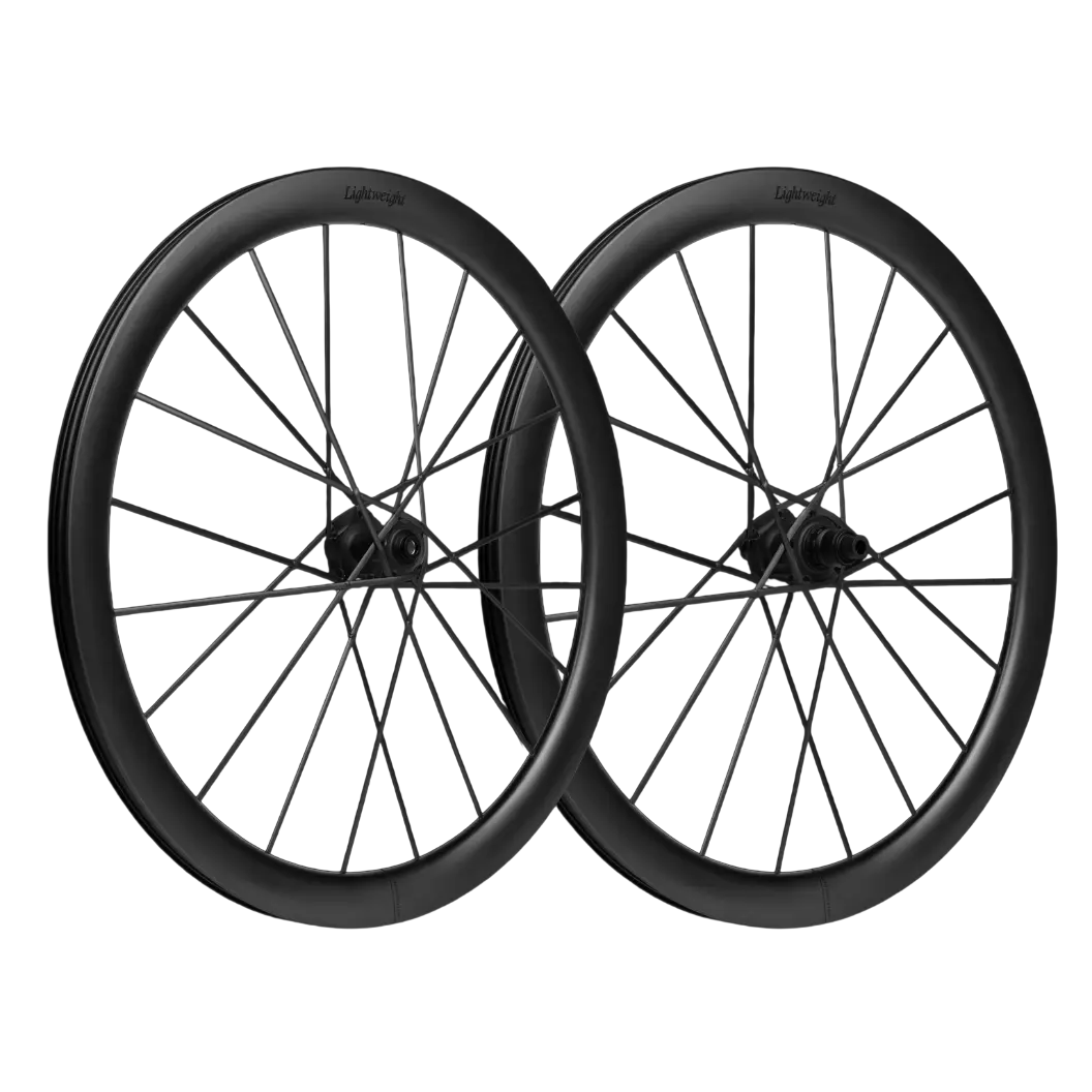 Lightweight Meilenstein Art Schwarz ED Disc