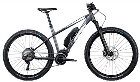 E-MTB